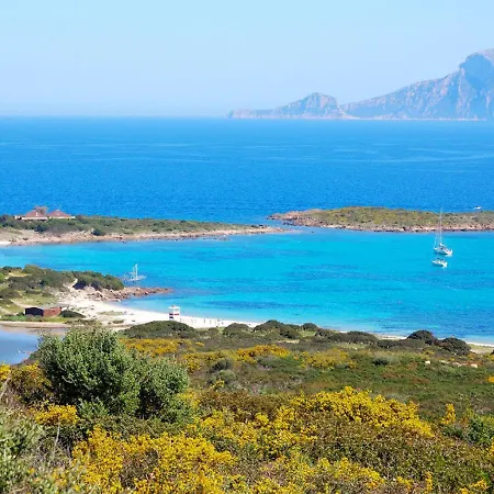Appartamento Locazione Turistica Vista Tavolara 1 *