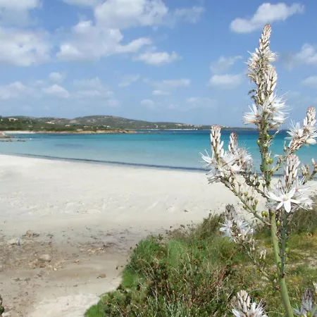 Locazione Turistica Vista Tavolara 1